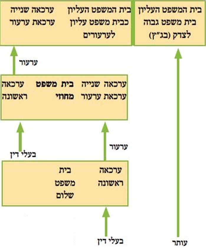בתרשים: מבנה תיפקודי של בית משפט רגיל